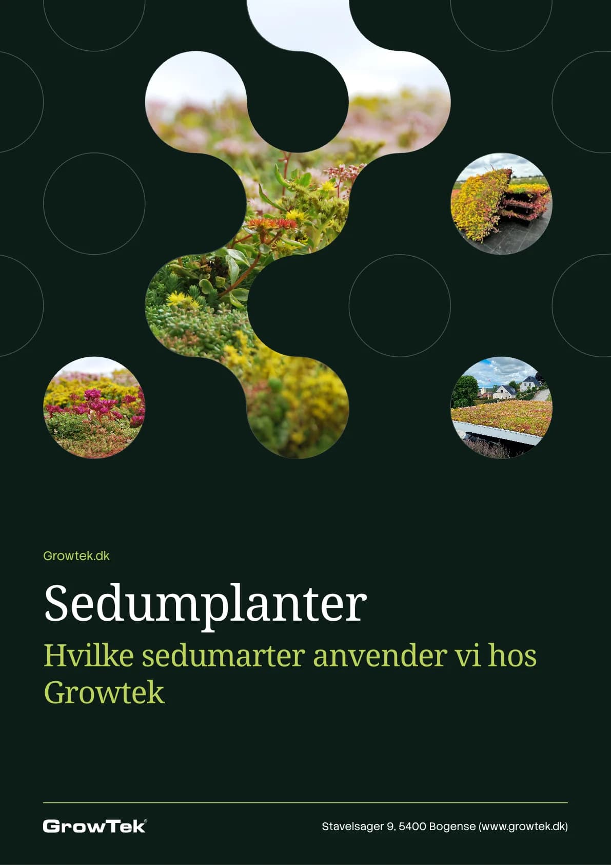 Cover of the guide to the sedum species Growtek uses