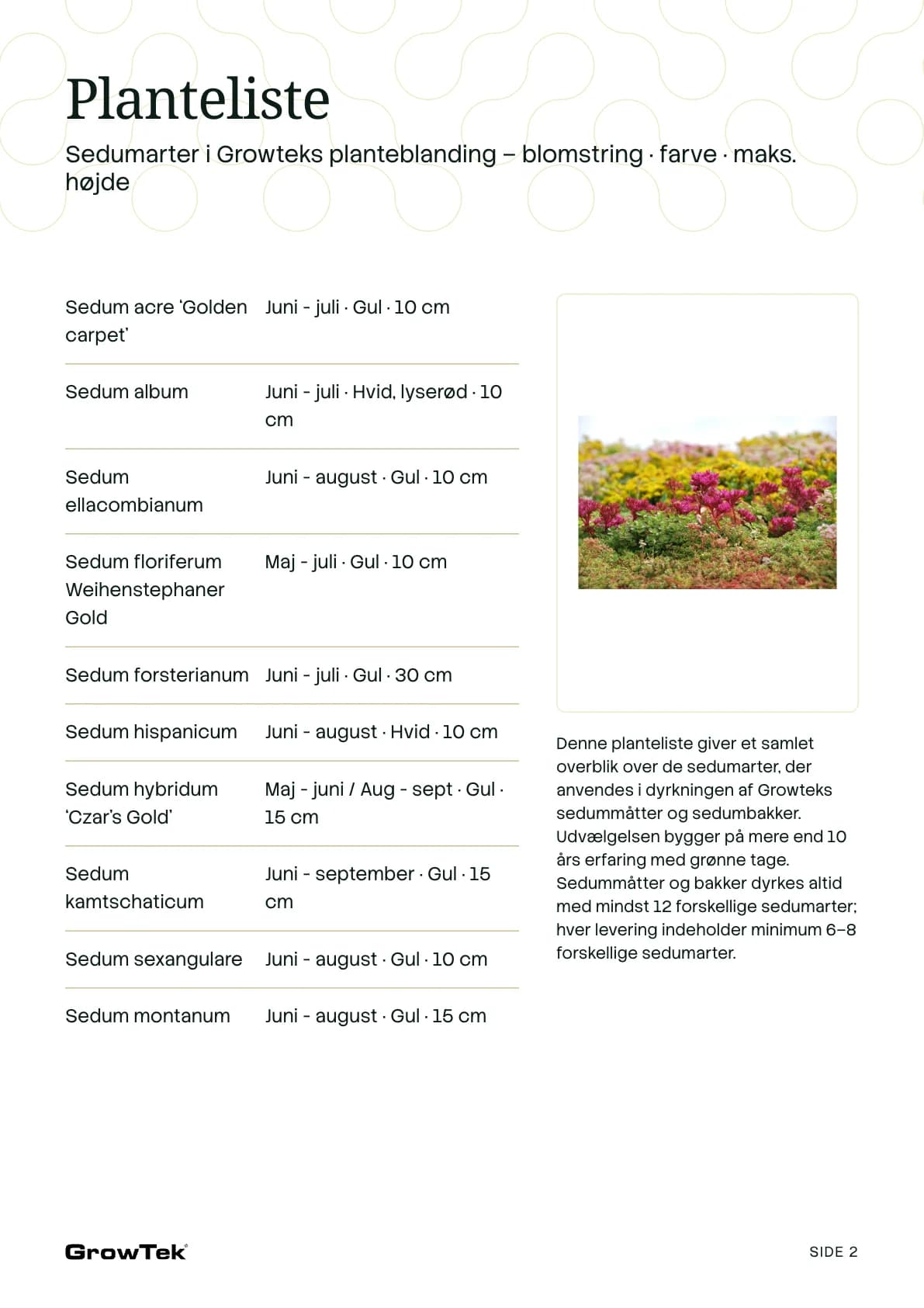 Plant list: each sedum species with its flowering, colour and height