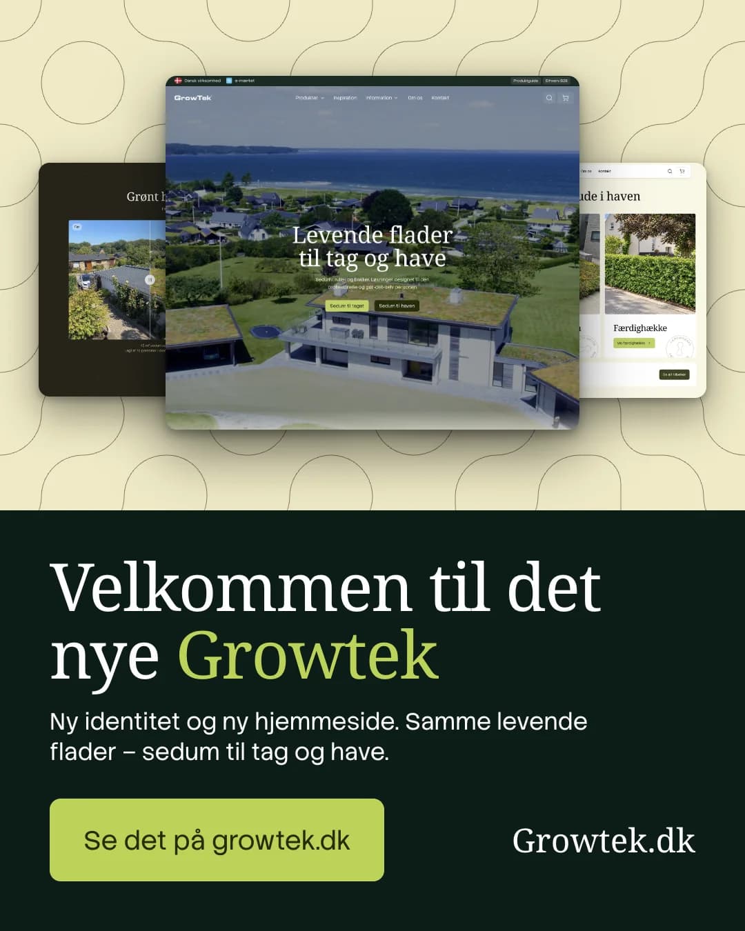 LinkedIn post announcing the new Growtek and growtek.dk