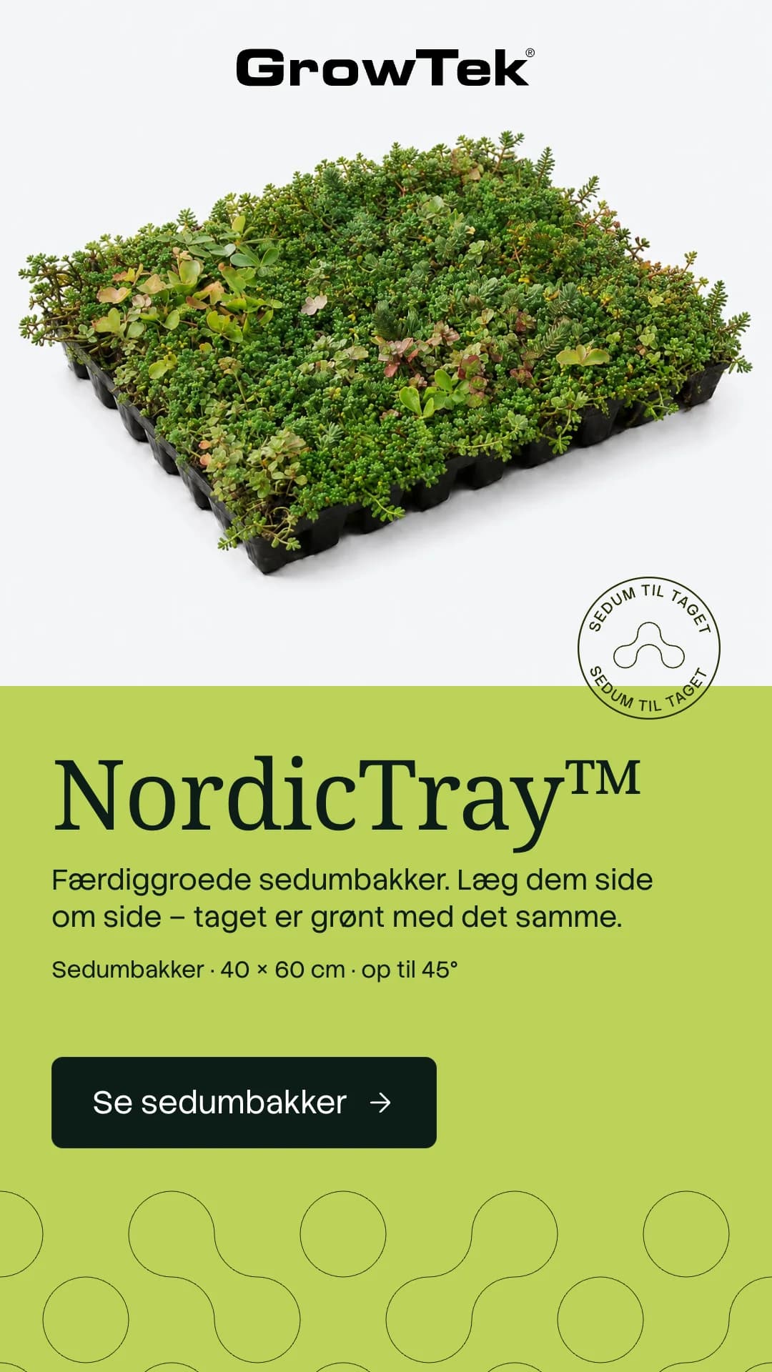 Instagram story for NordicTray sedum trays